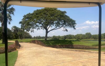 Fotogalerie Kambodža 2026